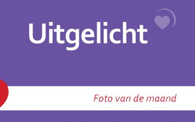 Uitgelicht