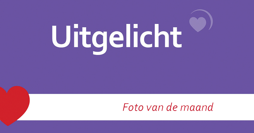 Uitgelicht