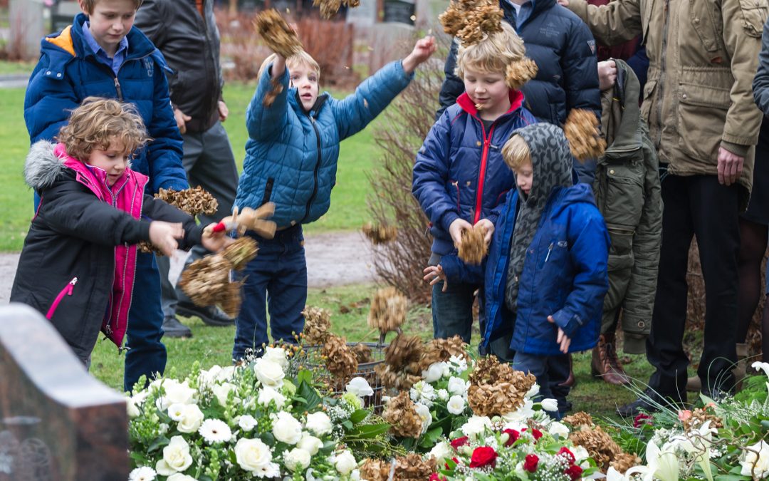 Onze opa ligt onder de hortensia’s