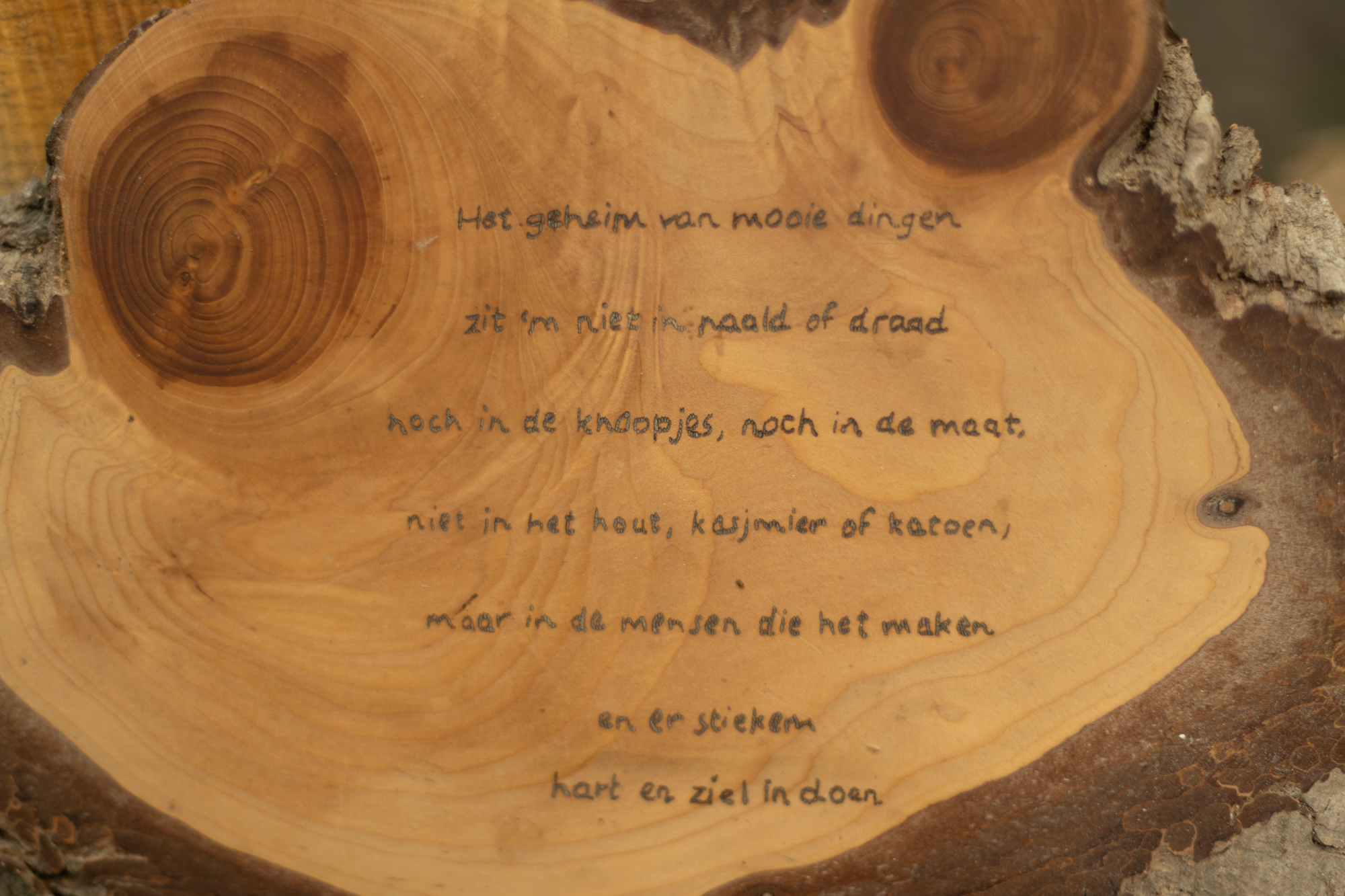 Margriet Polhout tekst op hout